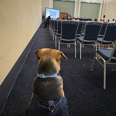 Addie the dog at an ABA conference